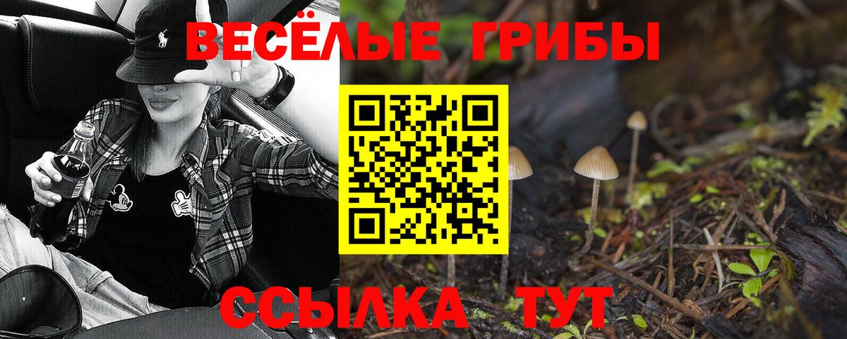 Галлюциногенные грибы мухоморы Златоуст