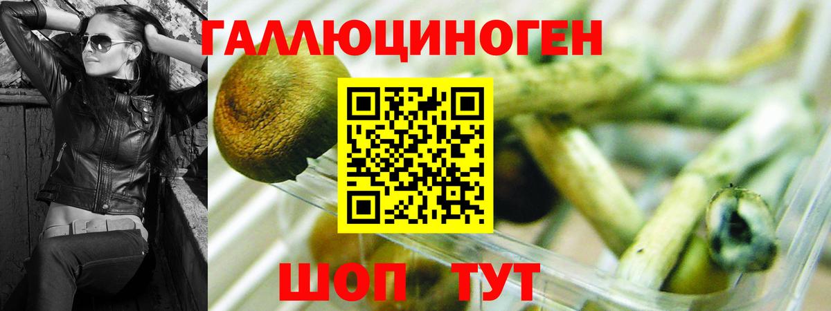 Галлюциногенные грибы Cubensis  Псилоцибиновые грибы GOLDEN TEACHER  Златоуст  Вход с VPN 